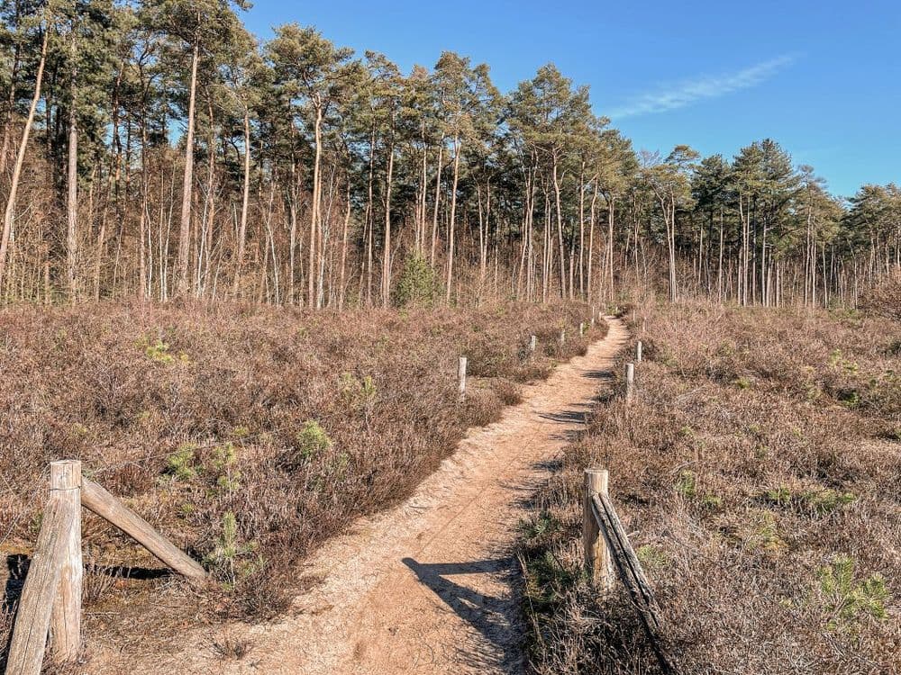 Natuur dicht bij huis